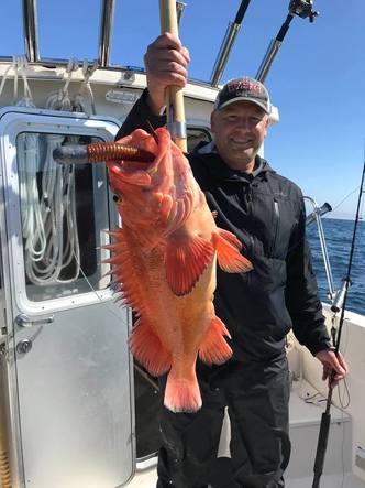 Kodiak Alaska Rockfish Fishing